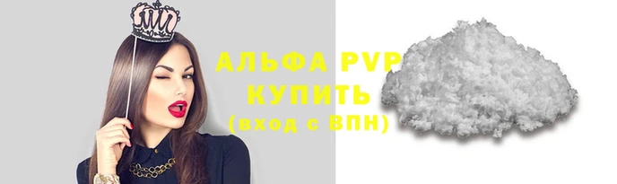 шишки Пересвет