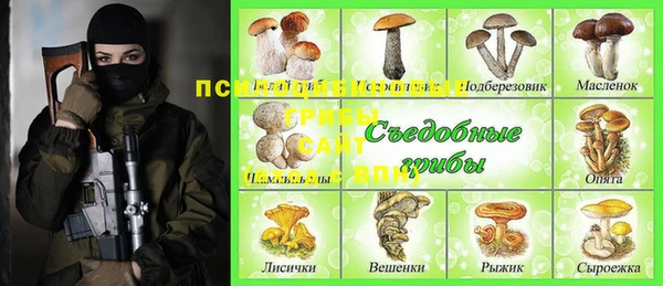 шишки Пересвет