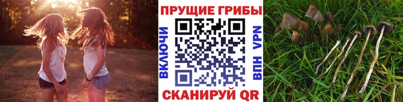 Псилоцибиновые грибы прущие грибы  Азнакаево 