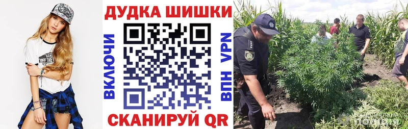 Бошки марихуана ГИДРОПОН  Азнакаево 